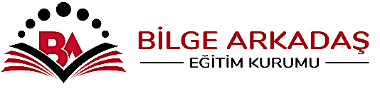 Bilge Arkadaş Eğitim